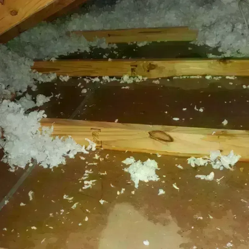 Attic Water Damage in Forsyth County, GA