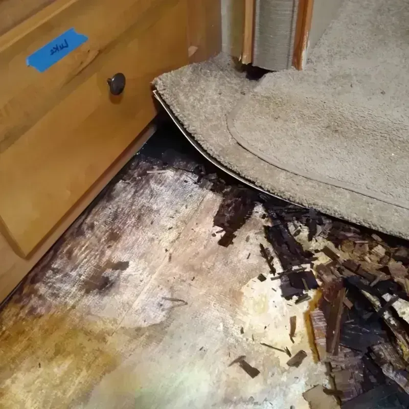 Wood Floor Water Damage in Forsyth County, GA